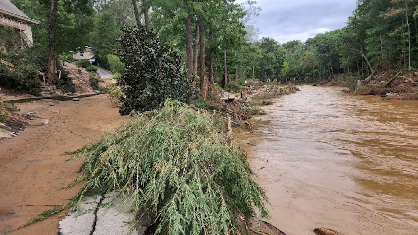 A flooded river with downed trees